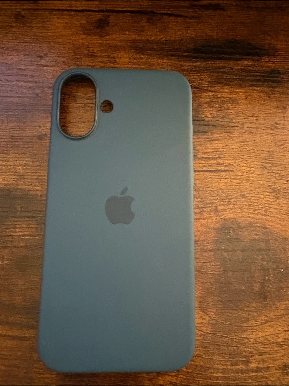 Apple Silicone iPhone Case - iPhone 16 plus